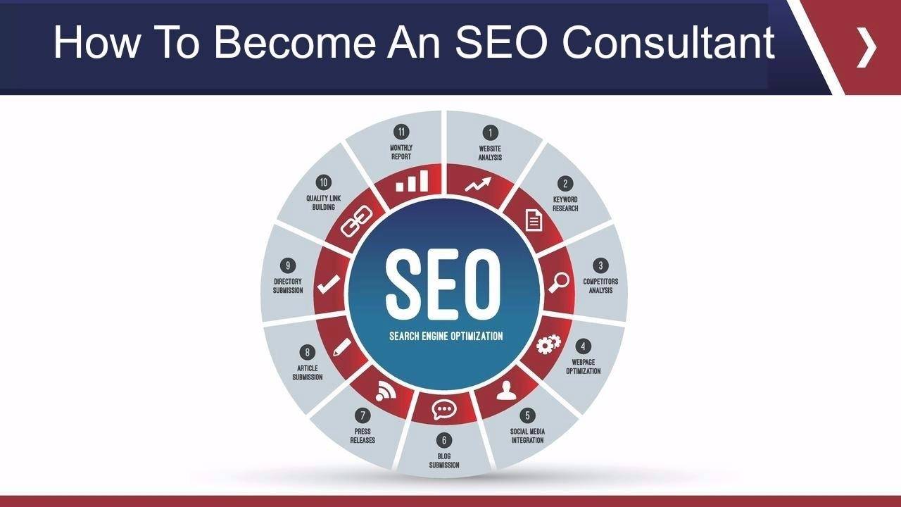 how to become a professional SEO-CONSULTANT